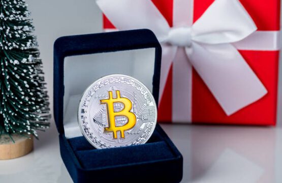Bitcoin Scam recvoery service in USA